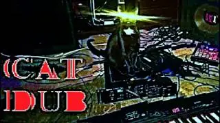 Dan Grossman & Tyler Bisson - Cat Dub (Live From The Dojo, Cheshire CT, 12/16/12)