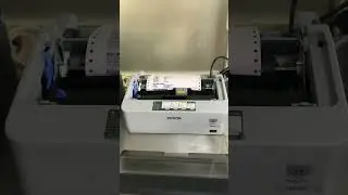 Test m&aacute;y in kim EPSON LQ 310 | Ruy băng mực | Ribbon