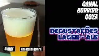 1 GELADEIRA FERMENTANDO LAGER & ALE -SINGLE MALTE PILSEN SINGLE HOP MANDARINA BAVARIA - RODRIGO GOYA
