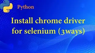 How to install chrome driver for selenium python(3 ways)