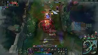 Sion R + W reksai bug