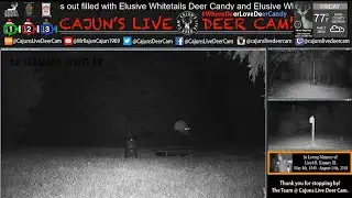 Doe Launches over the Feed Trough as the Capsule Feeder Spins ... In Memory of my Dad!