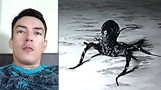 Man Gives Chilling Update On The Alien Entity He Found Inside A Crashed Meteorite In Panama
