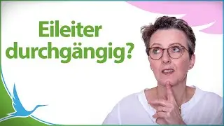 Eileiterdurchgängigkeitsprüfung - Sind deine Eileiter durchgängig? 🤔 Hystero-Kontrast-Sonographie