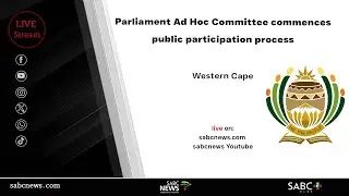 Parliament Ad Hoc Committee on Mkhwanazi allegations holds Public Hearings
