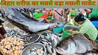 Bihar Sharif Ka Machli Market || bihar sharif biggest machli mandi || fish market in bihar sharif