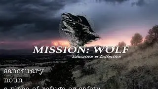 Sanctuary and Mission Wolf