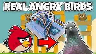 I Built a Game Controller for Birds (and went insane doing it)