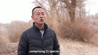 Rare wildlife discovered in southern Xinjiang's thriving ecosystem