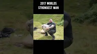 Pood Vs Beast