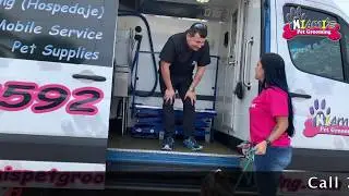 Miami's Pet Grooming GROOMING SERVICES