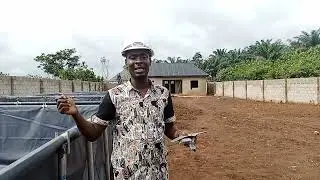 Tarpaulin Fish Pond Repair If Torn