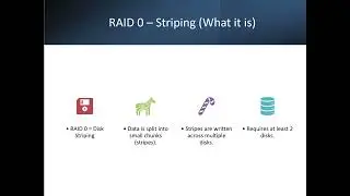 RAID 0 vs RAID 1 Explained | Data Storage Made Simple
