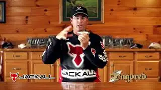 Jackall Dagored
