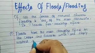 Effects Of Flood |Cause Of Flood