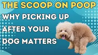 The Scoop on Poop: Why Picking Up After Your Dog Matters