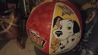 inflatable beachball 101 dalmatian