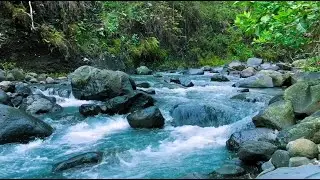 Relaxing Forest River Flow for Deep Sleep, Meditation, Stress Relief and Calm Night Ambience