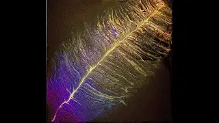 Kiss Pour Feather - Acrylic Pour Painting