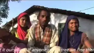 Joint Forest Management Jhadol