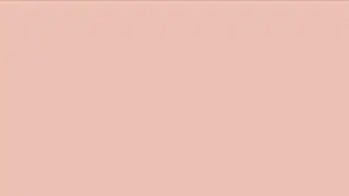 40 minute Bisque color screen
