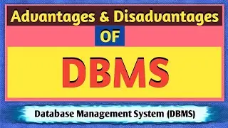Advantages and Disadvantages of DBMS | Database Management System Advantages and Disadvantages