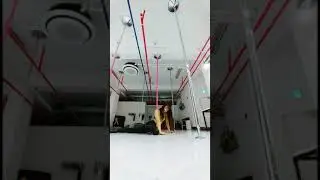 Suen's Exotic poledance Workshop