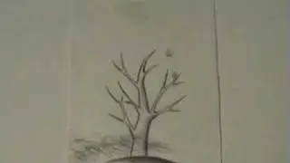 Tree hand drawn animation