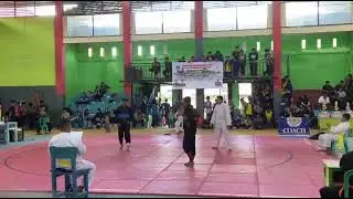 Cuyusika bangau putih #pencaksilat #cuyusika