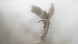 you are a fallen angel missing heaven | dark academia playlist