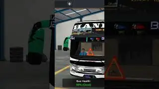 hanif bus skin