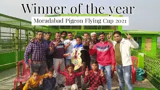 Moradabad Pigeon Flying Cup 2021 में पहला  स्थान हासिल करने वाले Arif Bhai Banquet hall wale