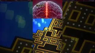 Your Brain Believes Whatever You Repeat (Psychology Fact) #youtubeshorts #psychologyfacts