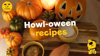Treat your pooch to some spooky snacks this Howl-oween 🎃 | Dogs Trust