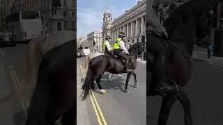 A Majestic Return: The Met Police Horse Heads Back to the Yard 🐴🚔🏇✨ #Shorts