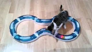 Catit Design Senses super roller circuit