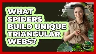 What Spiders Build Unique Triangular Webs?