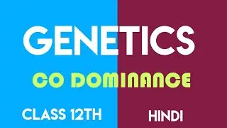 Co Dominance | Class 12th | Genetics | by be educated | In Hindi