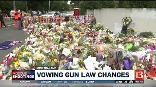 New Zealand vows for new gun law changes