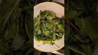 Harvesting weeds for my tortoises! Perfect free foods for the winter. #tortoise #harvest #tort