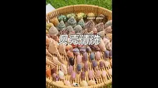 贝壳清洗 | 涠洲岛 来给贝壳洗洗澡吧，同款草酸在橱窗，兑水 1:1稀释使用，不可接触皮肤，通风处操作#种草 #强烈推荐 #涠洲岛#捡贝壳#解压