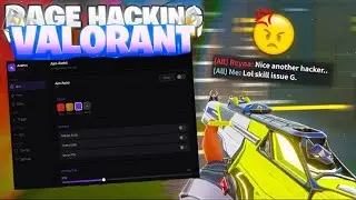 The future of colorbots in Valorant | ft Acerus v3