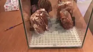 Fluval Chi Fish / Shrimp Tank . My first DIY video