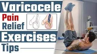 Varicocele Exercises For Men | Varicocele Pain Relief Exercises Tips | Dr Health