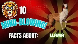 10 Mind Blowing Facts About The Llama!