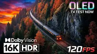 MOST COLORFUL SCENES in 16K Dolby Vision&trade; HDR 120FPS (4K/8K TV)