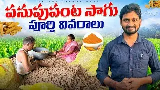 పసుపుపంట సాగు పూర్తి వివరాలు || Detailed Information on Turmeric Cultivation || @telugufarmergopi