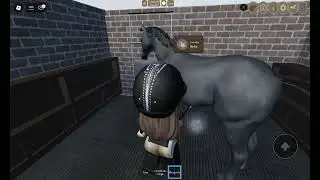 Rotina no haras