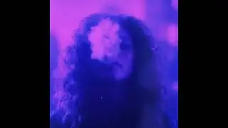 Adult Swim Bump -  Purple Smoke