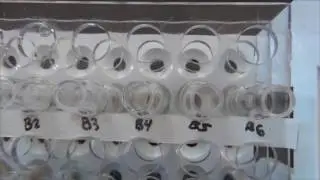 Pyrogenic Carbon in Soil: The BPCA Method